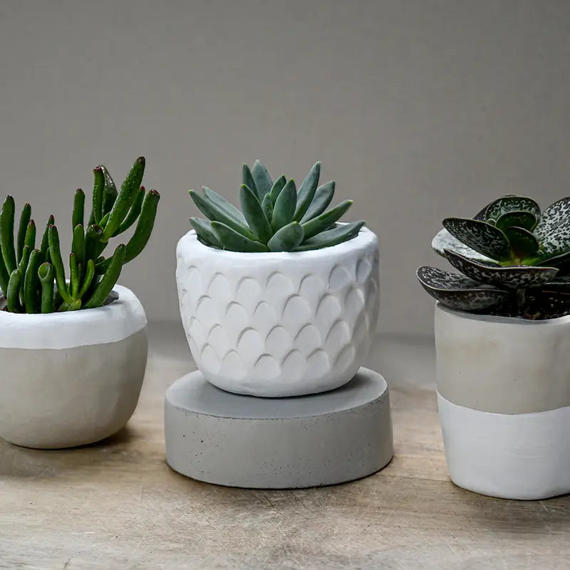 Sculpd pottery kit handmade creation