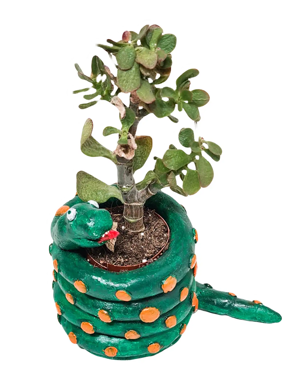 Green snake-shaped planter banner for Sculpd UK kids kits listicle