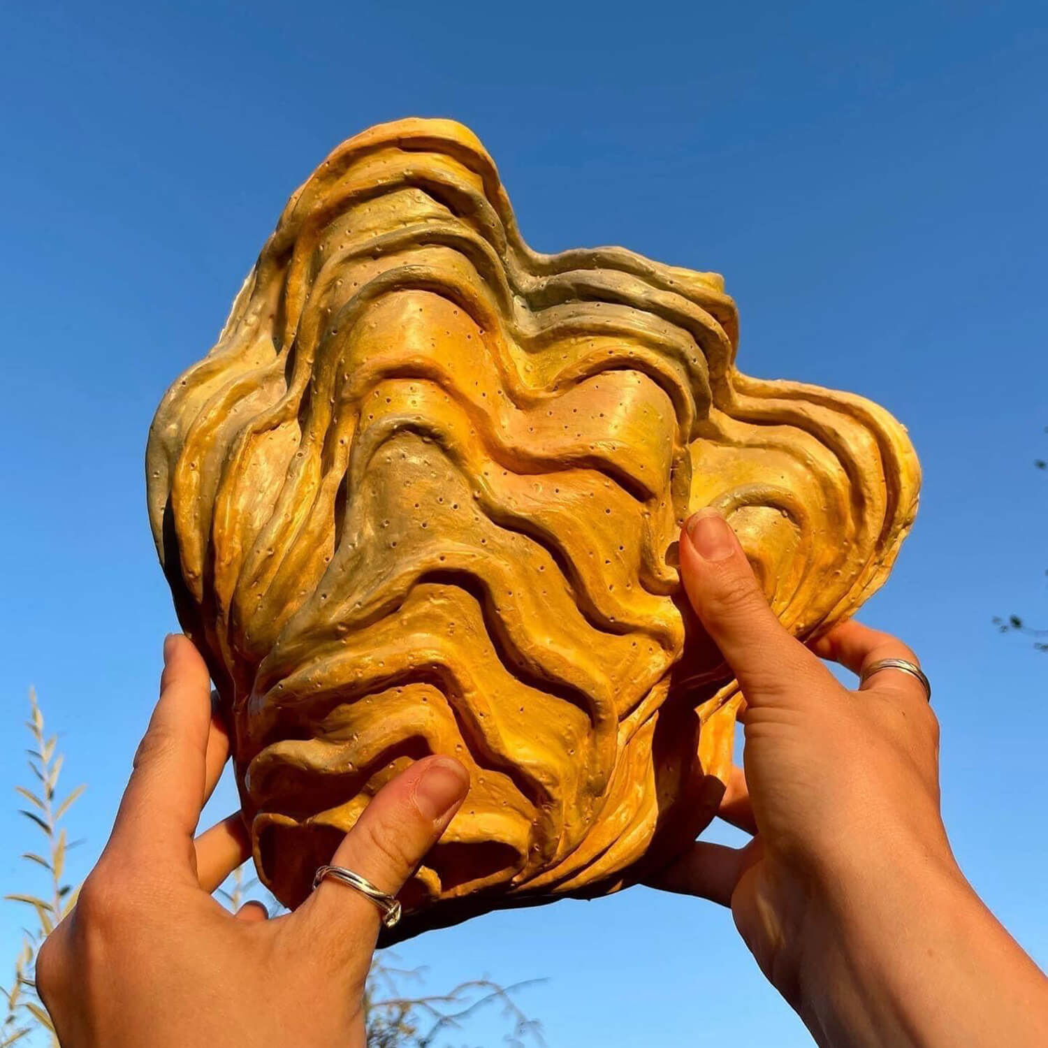 Sculpd Home Collection: Clam Shell Centrepiece Kit